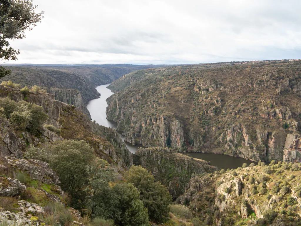Mirador de las Barrancas de Fariza sobre el cañón del Duero