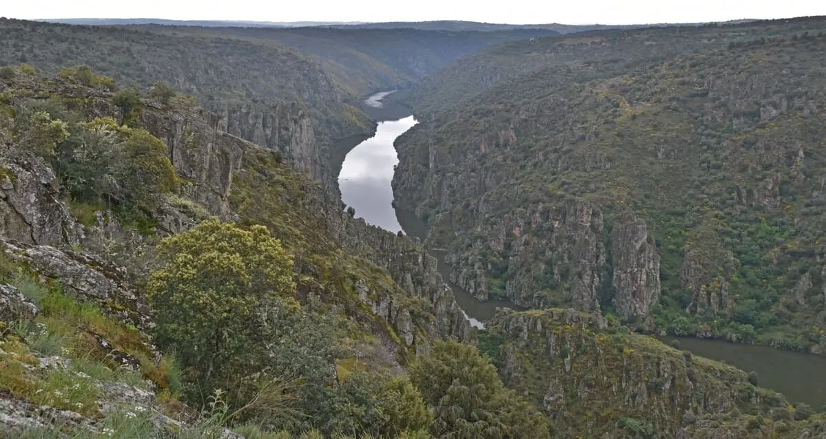 Mirador de las Barrancas con vistas al cañón del Duero y Portugal