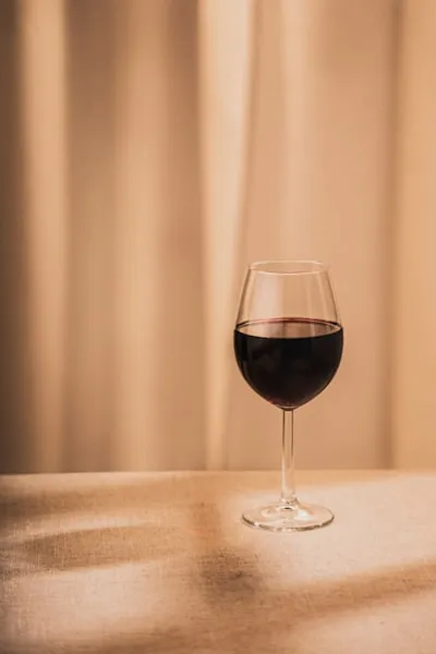 LUCYLANKER Abridor de Vino Ah So 3 en 1 Sacacorchos Sommelier