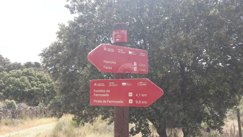 Qué ver en los Arribes del Duero: lugares imprescindibles