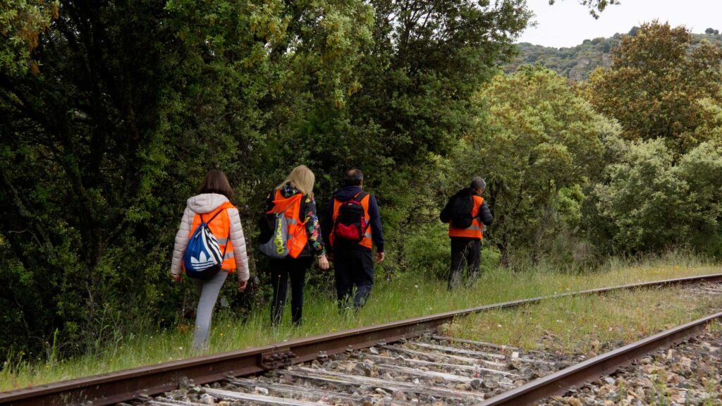 camino de hierro