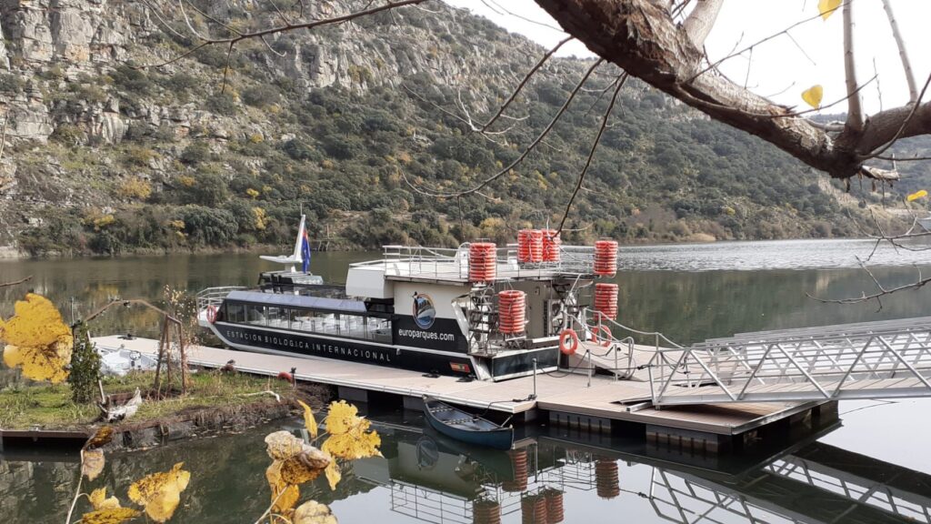 crucero ambient