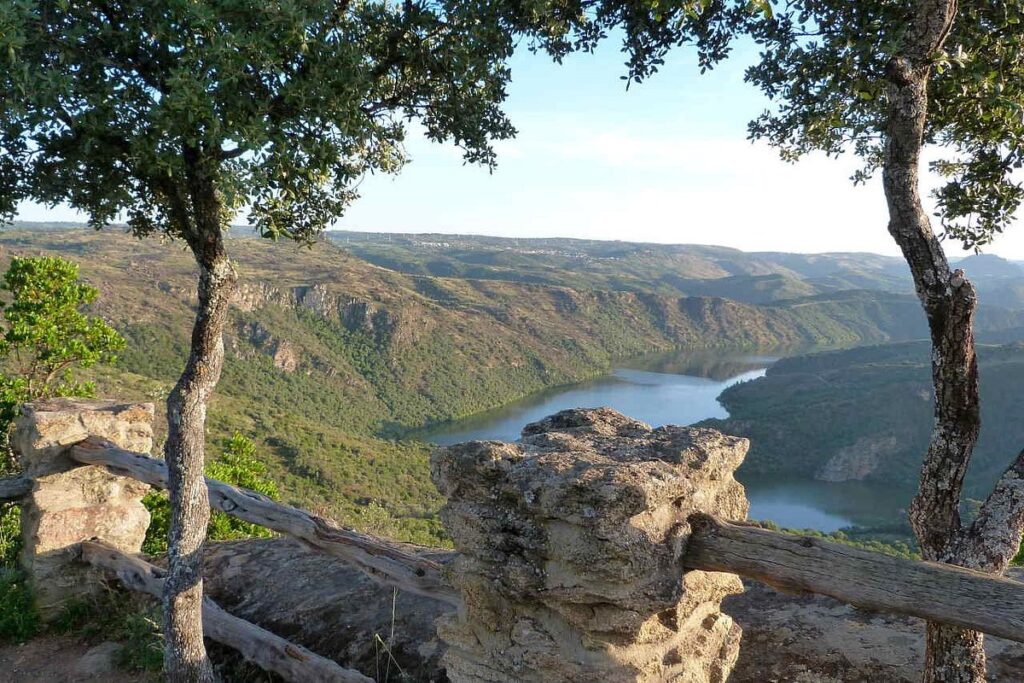 fermoselle